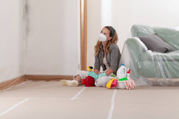 Reliable Mold Remediation contractor in Everett, WA by Cheap Mold Removal